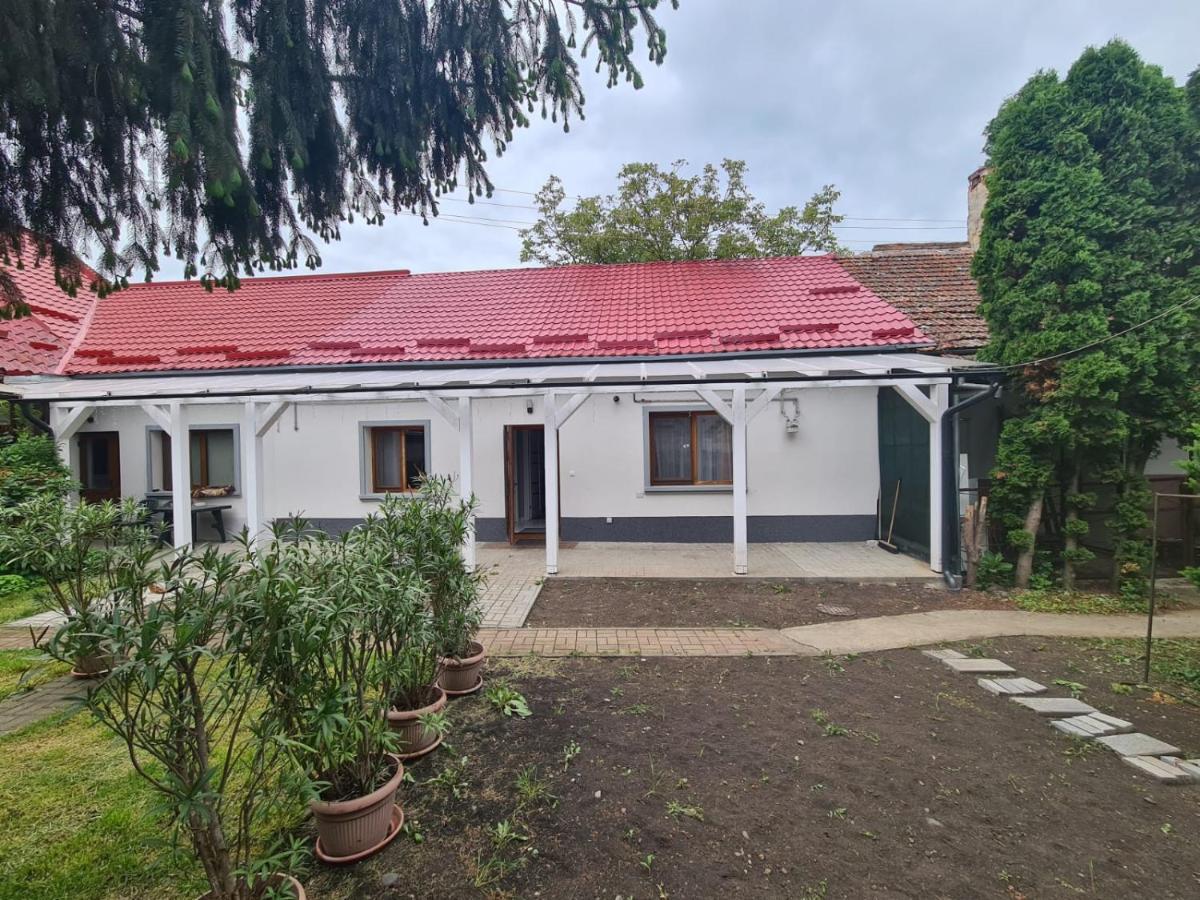 Peaceful&Central Apartment With Garden Târgu-Mureş Zewnętrze zdjęcie